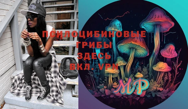 хмурый Костерёво