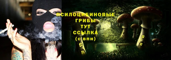 бошки Красноперекопск
