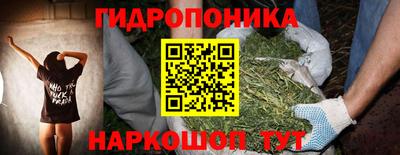 индика Заволжье