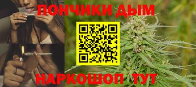индика Заволжье