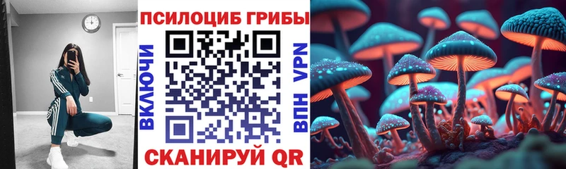 Галлюциногенные грибы MAGIC MUSHROOMS  Каменск-Уральский 
